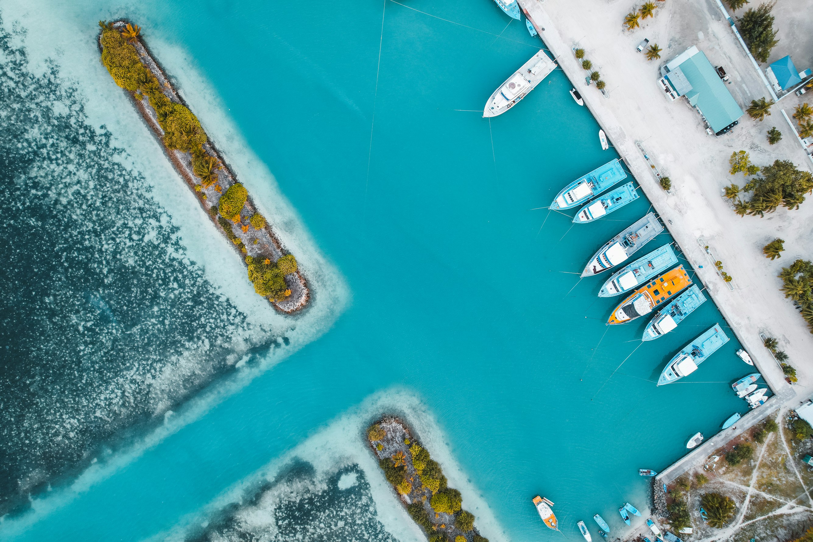 Tropical marina with turquoise waters